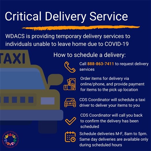 Critical Delivery Service