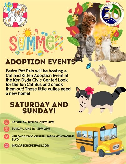 Cat and kitten adoptions 6.15.24 & 6.16.24