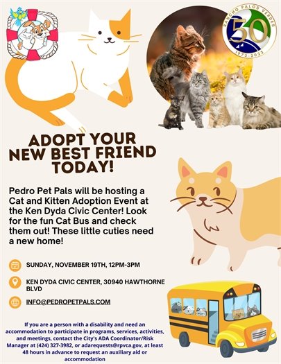 Cat and kitten adoptions 11.19.23