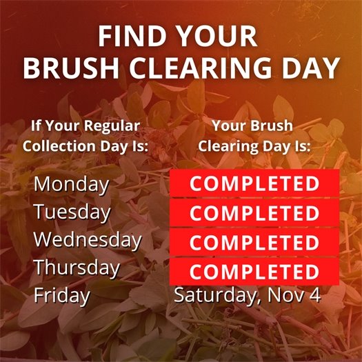 A pile of leaves and tree trimmings fills a green waste bin. A headline says Find Your Brush Clearing Day. Body text says if your regular collection day is Monday, Tuesday, Wednesday, or Thursday, your brush clearing day has been completed. If it is Friday, it is Saturday, November 4.