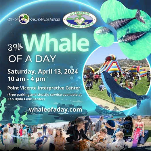 whale of a day festival 4.13.24 