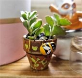 mini plant craft 