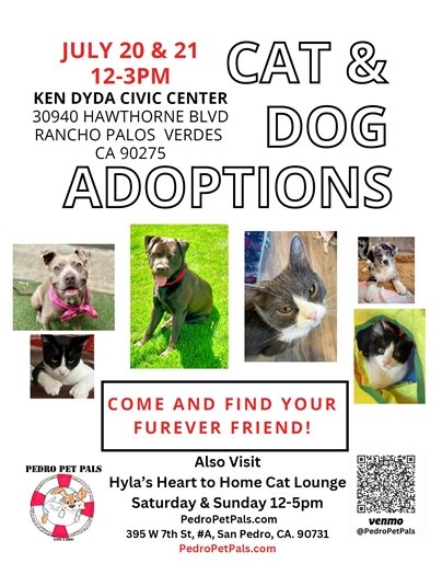 adoptions this weekend at the civic center