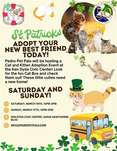 Cat and kitten adoptions 3.16.24 & 3.17.24