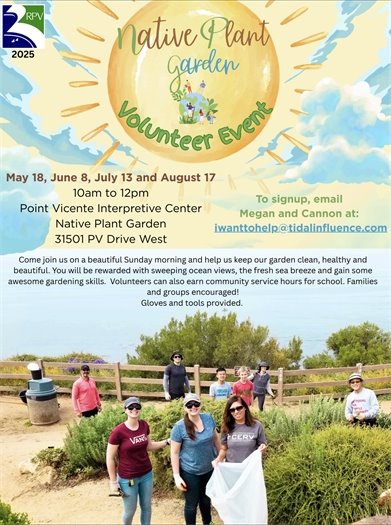 Native Plant Garden Volunteer Event at Point Vicente Native Plant Garden  