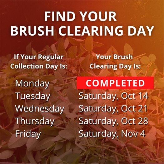 A pile of leaves and tree trimmings fills a green waste bin. A headline says Find Your Brush Clearing Day. Body text says if your regular collection day is Monday, your brush clearing day has been completed. If it is Tuesday, it is Saturday, October 14.  If it is Wednesday, it is Saturday, October 21.  If it is Thursday, it is Saturday, October 28.  If it is Friday, it is Saturday, November 4.  