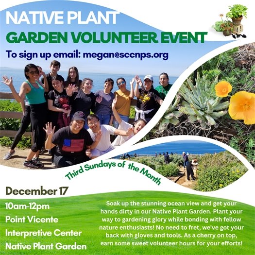 Native Plant Garden Volunteer Event 12.17.23