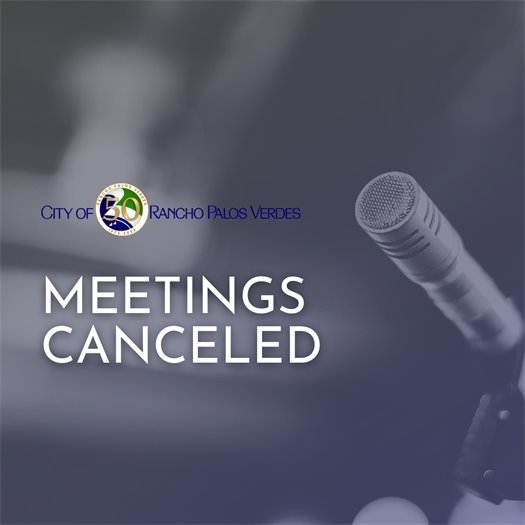 Meeting Canceled graphic
