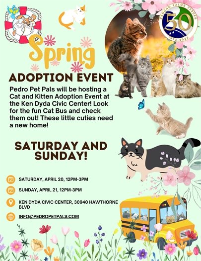 Cat and kitten adoptions 4.20.24 & 4.21.24