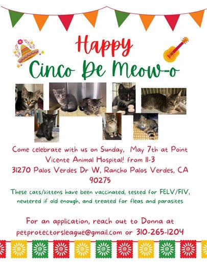 cat adoptions 5.7.23