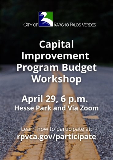 City Council Meeting