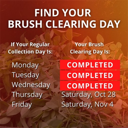  A pile of leaves and tree trimmings fills a green waste bin. A headline says Find Your Brush Clearing Day. Body text says if your regular collection day is Monday, Tuesday, or Wednesday, your brush clearing day has been completed. If it is Thursday, it is Saturday, October 28. If it is Friday, it is Saturday, November 4.