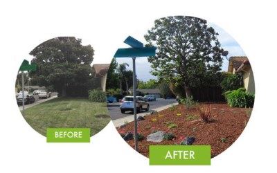 Turf removal before and after (400x250)