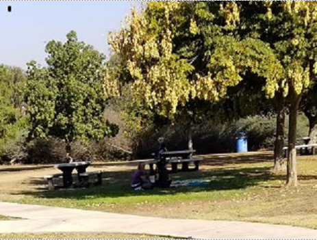 Eastview Park new benches