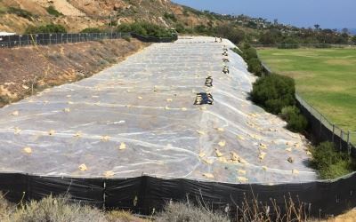 Ladera Linda Fields with tarp