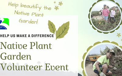 Native Plant Volunteer Event