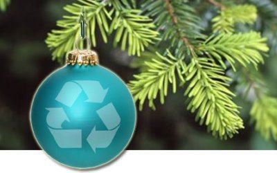 Christmas tree recycling