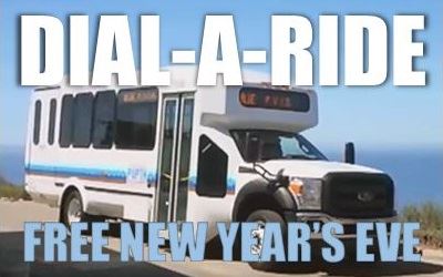 Dial A Ride Spotlight (400x250)