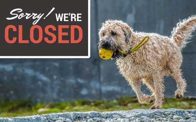 Dog Park Closed