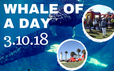 Whale of A Day 2018
