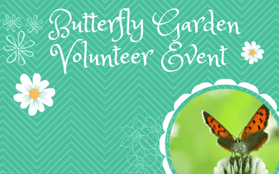 Butterfly GardenVolunteer Spotlight