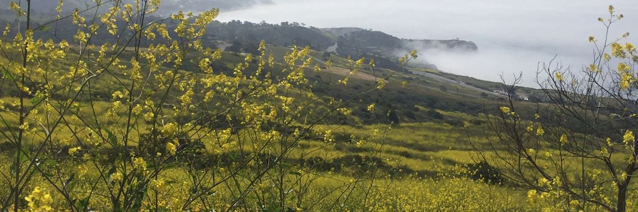 Three Sisters Reserve