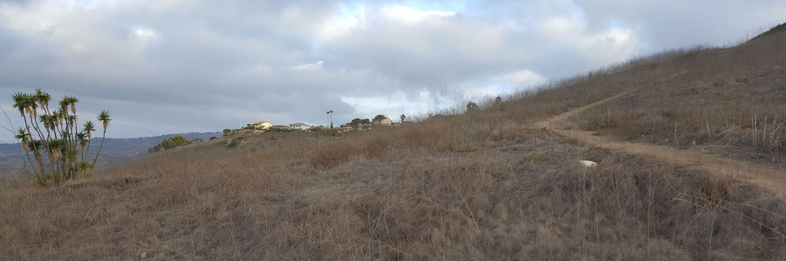 San Ramon Reserve