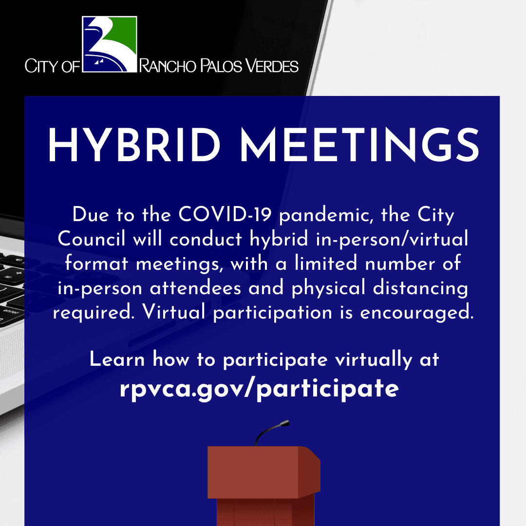 Hybrid Meetings