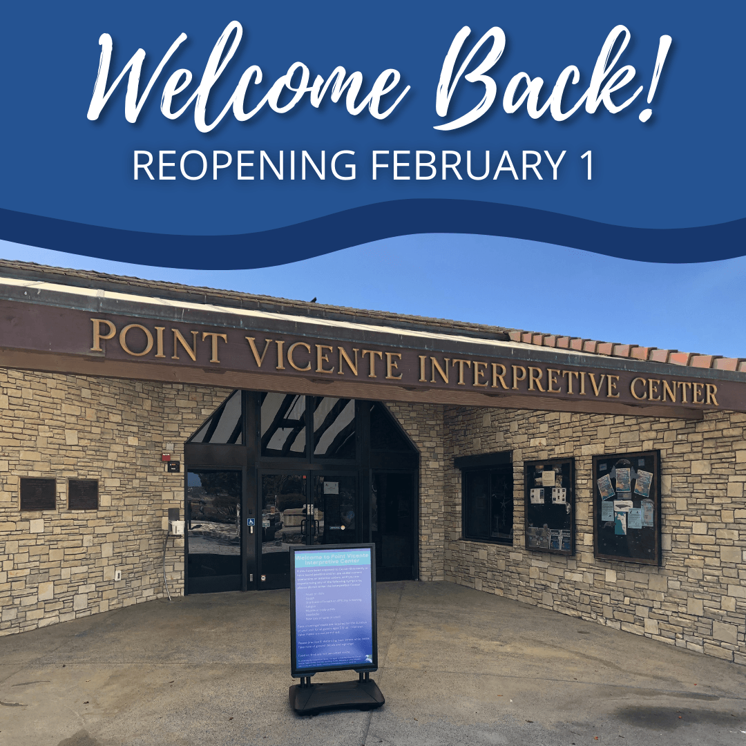 Reopening February 1