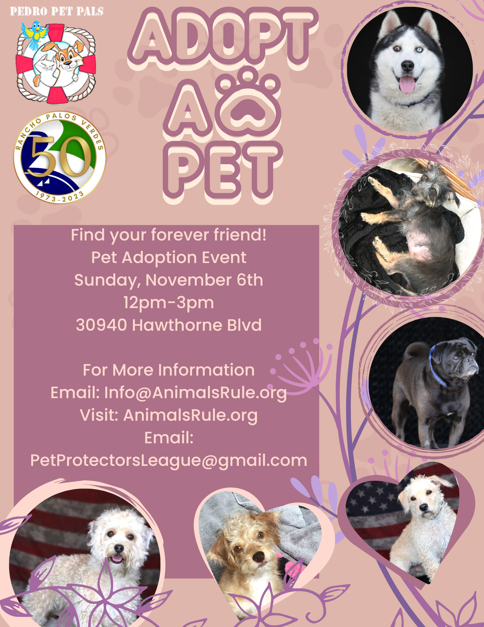 Find Your Forever Friend graphic