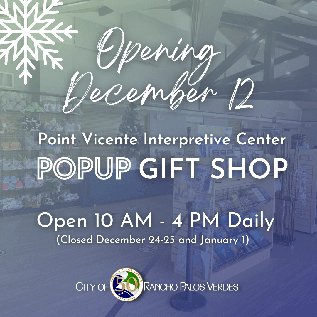 Popup Gift Shop graphic