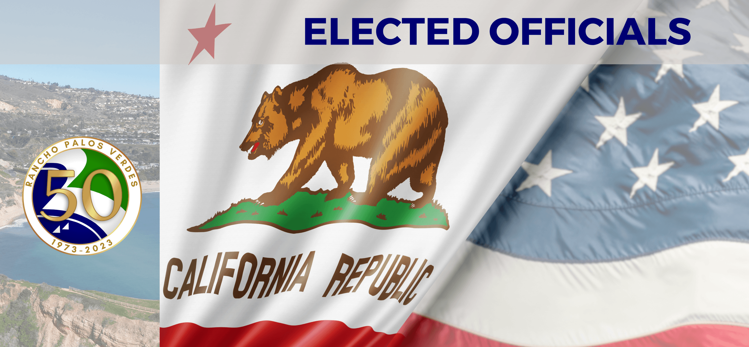 Elected Officials Graphic Web