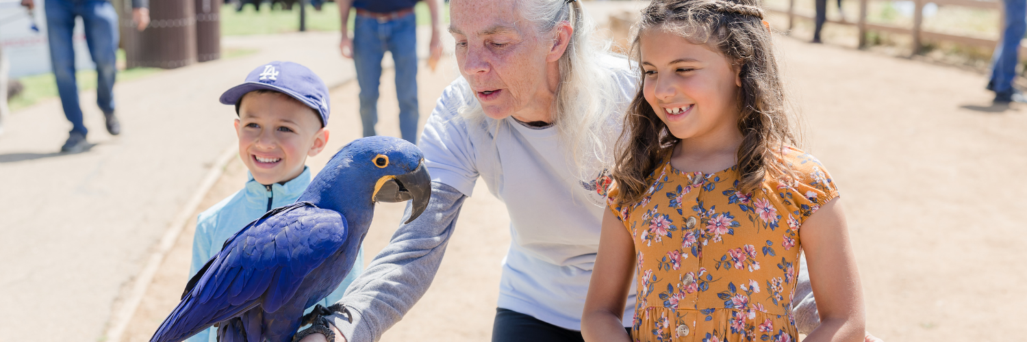 Blue Parrot at Whale of a Day 2023