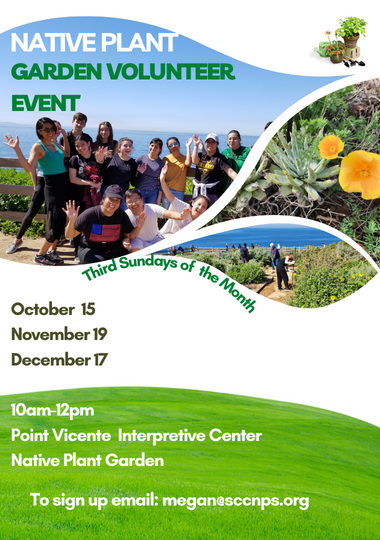 Native Plant Garden Volunteer Events Oct 5, Nov 19, Dec 17, PVIC from 10-11 am
