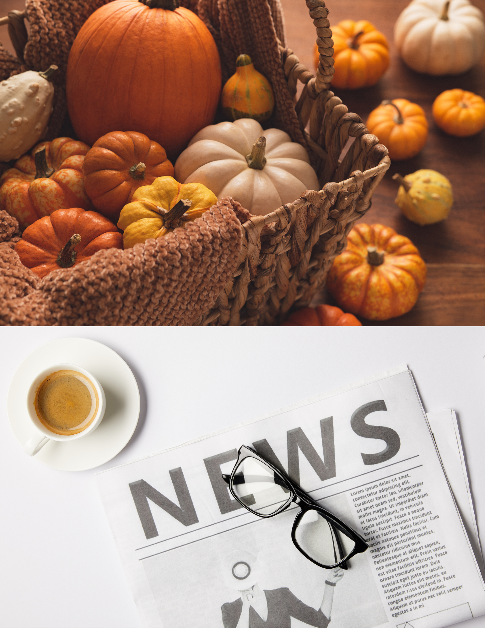 Fall Newsletter