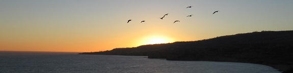 Founders at Sunset Banner Photo