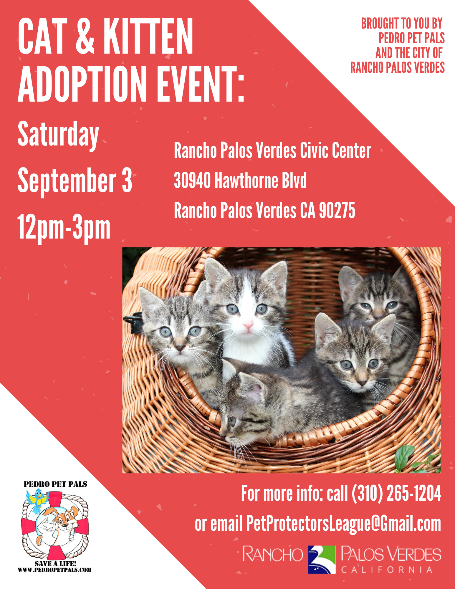 cat adoption event