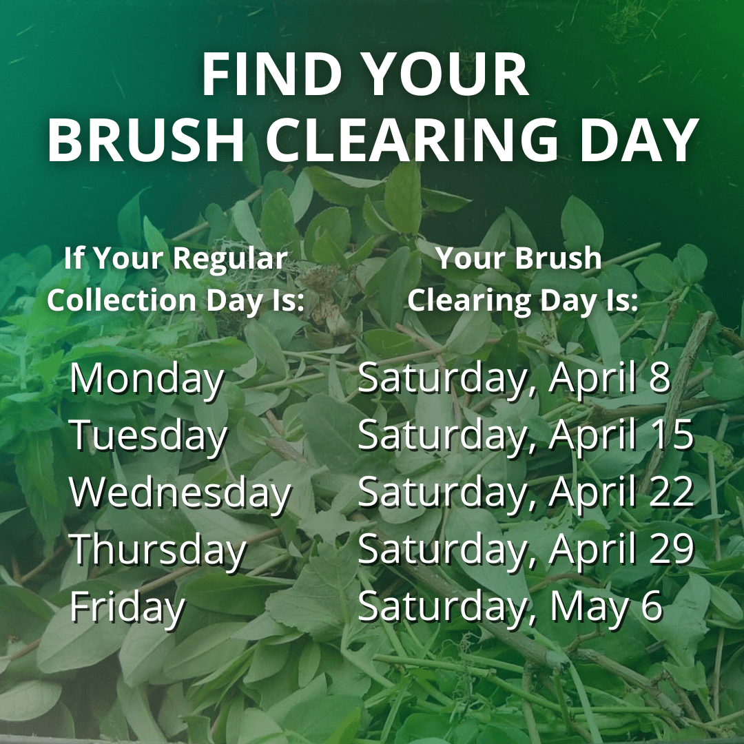 Find Your Brush Clearing Day