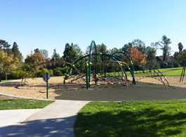 Green jungle gym playground equipment in park area