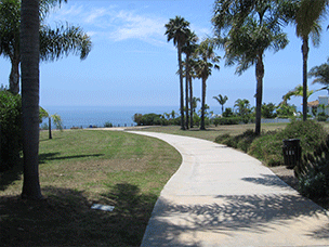 Pictures of cement trails lined with palm trees and near bluff overlooking ocean