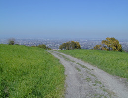 View of dirt trail on hill overlooking city